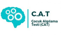 Çocuk Algı Testi